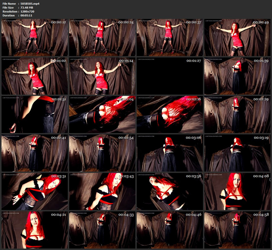 505B505.mp4