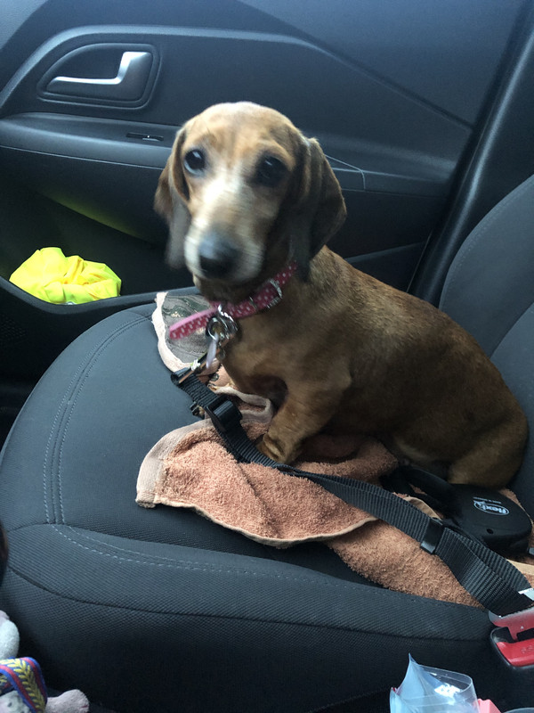 [Image: IMG-2943.jpg]