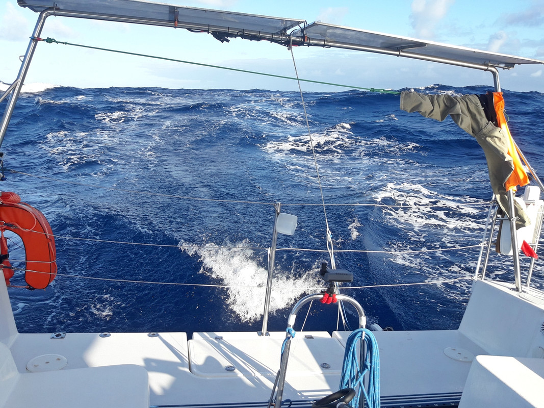 [Imagen: 20200209-174655.jpg]