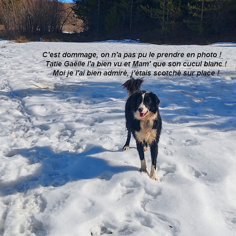 IMG-20260222-114058bb