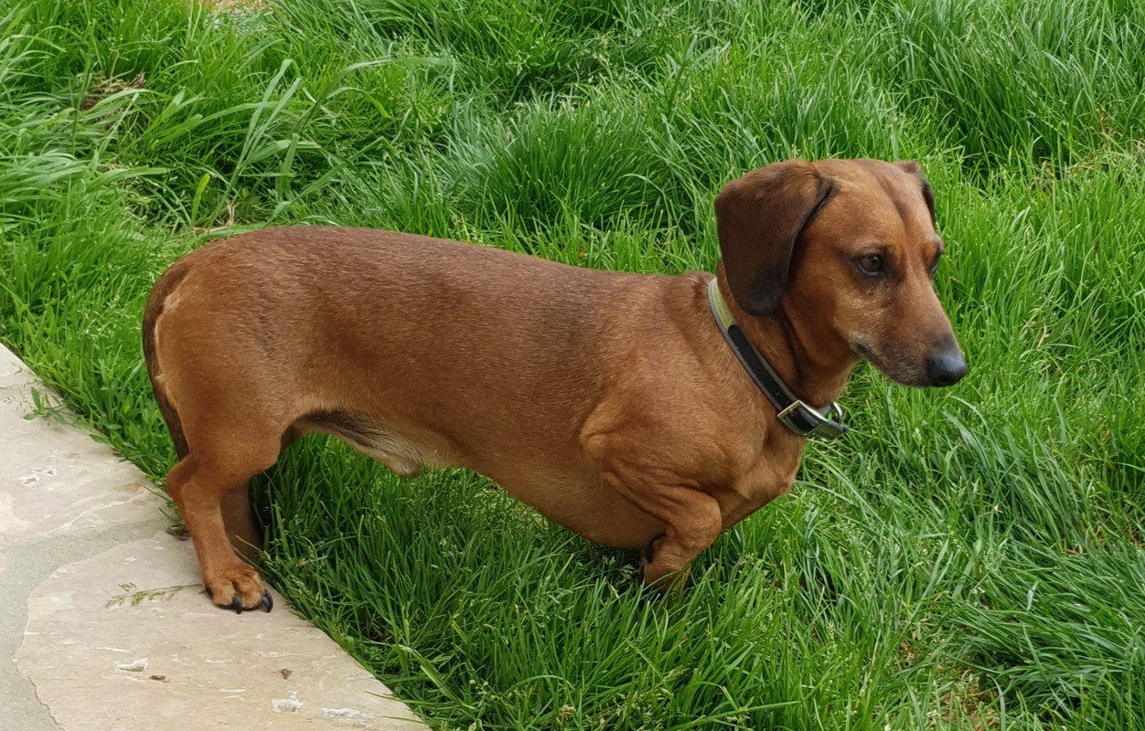 [Image: 20210525-170430.jpg]