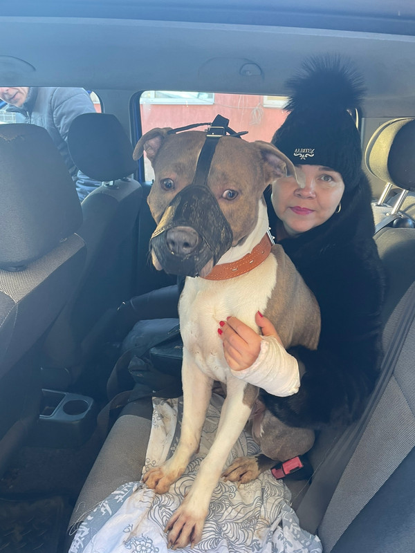 E447C719-5A55-4DA2-831A-50E4DE311692