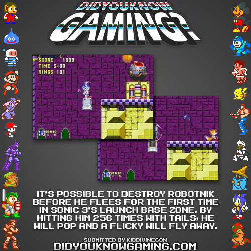 tumblr-n6k4xrsdjv1rw70wfo1-500.png