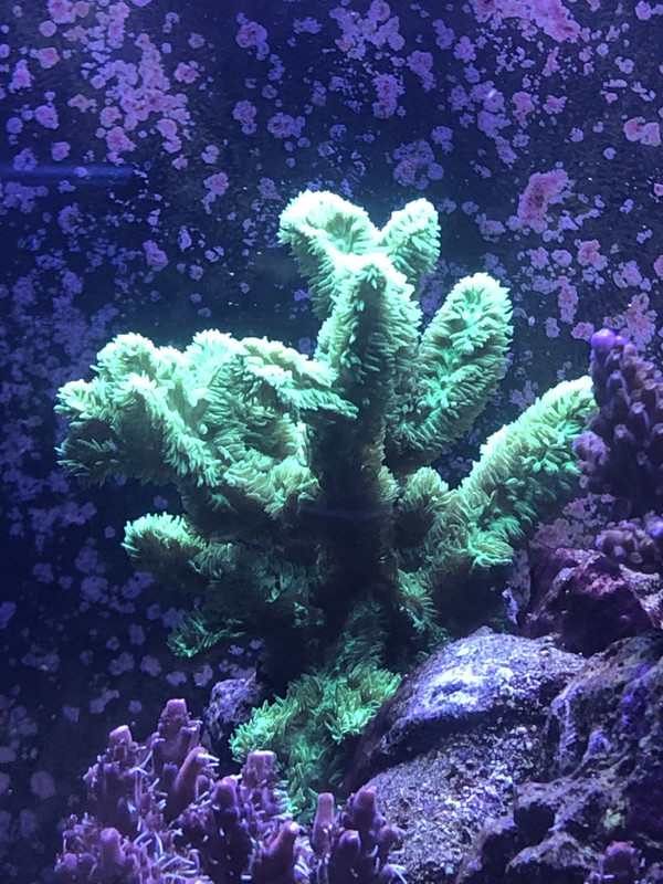 12A68016-5A53-43FD-9779-FC2EE30A2500