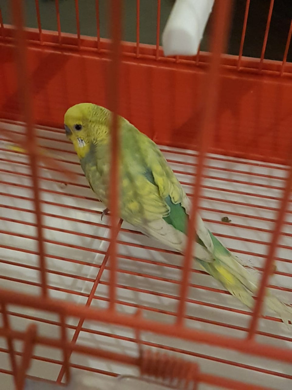 WhatsApp Image 2019-03-12 at 1.36.26 AM (1)