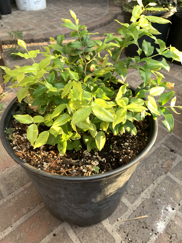 304DCDEE-57C9-4775-B3E9-D07732D5604E