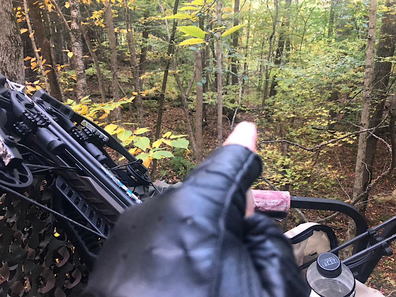 1B4CAB01-6780-4E81-93C0-2A304B1FF302