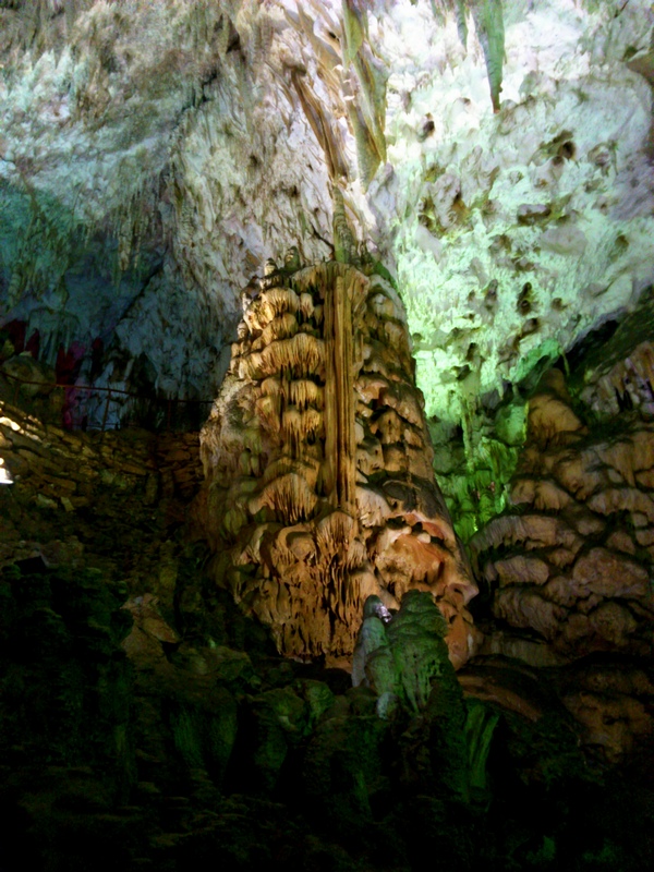 DSC-0102.jpg