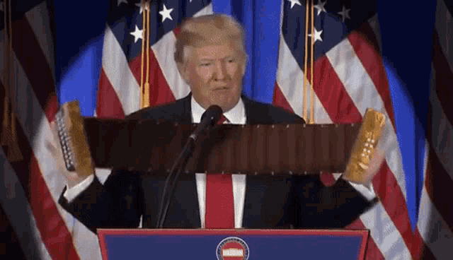 https://i.postimg.cc/153W64fv/trump-triumphands.gif