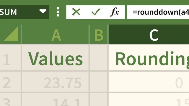 Excel: Introduction to Formulas and Functions (2023)