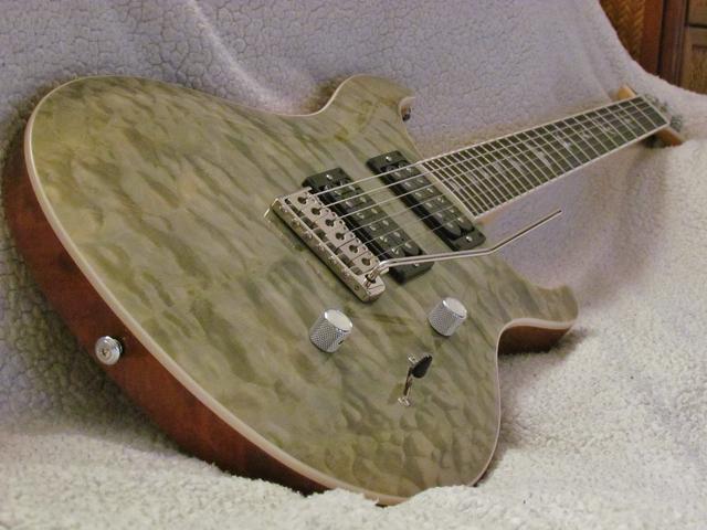 Prs Se Roasted Maple Limited Custom 24 Sevenstring Org Prs Se Roasted Maple Limited Custom 24 Sevenstring Org