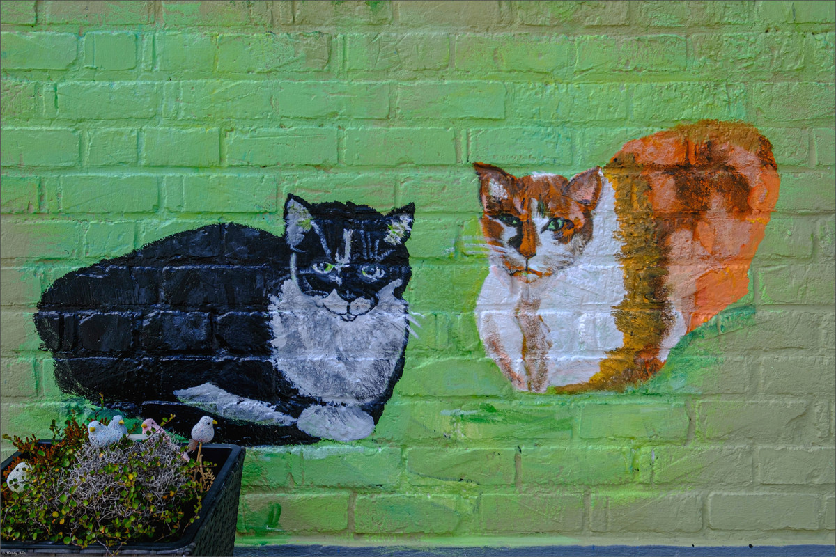 XT4G7191 2023 De Haan Bredene   LR ERWZ FB