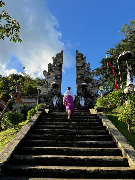 6 Aviones, 3 barcos y 2 trenes, empezando en Estambul y terminando Kuala Lump - Blogs de Indonesia - TERCERA PARADA: BALI (92)