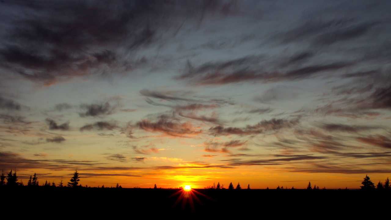 vlcsnap-2023-08-22-18h34m03s481