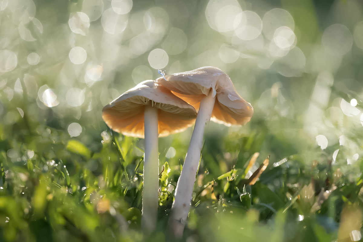 7A4A3549 defi52 copie 3