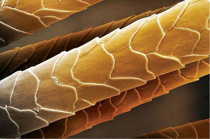 До и после правильного ухода