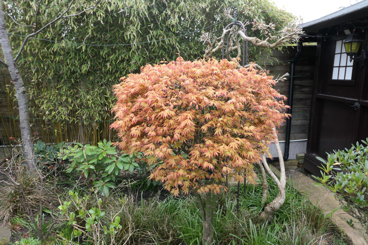 P1040293