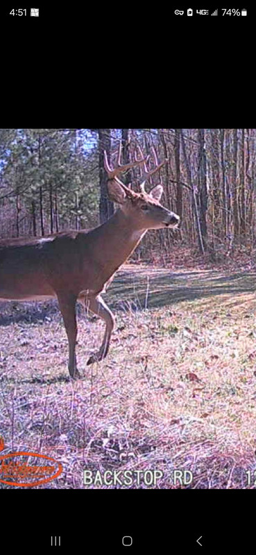 Screenshot_20250203_165155