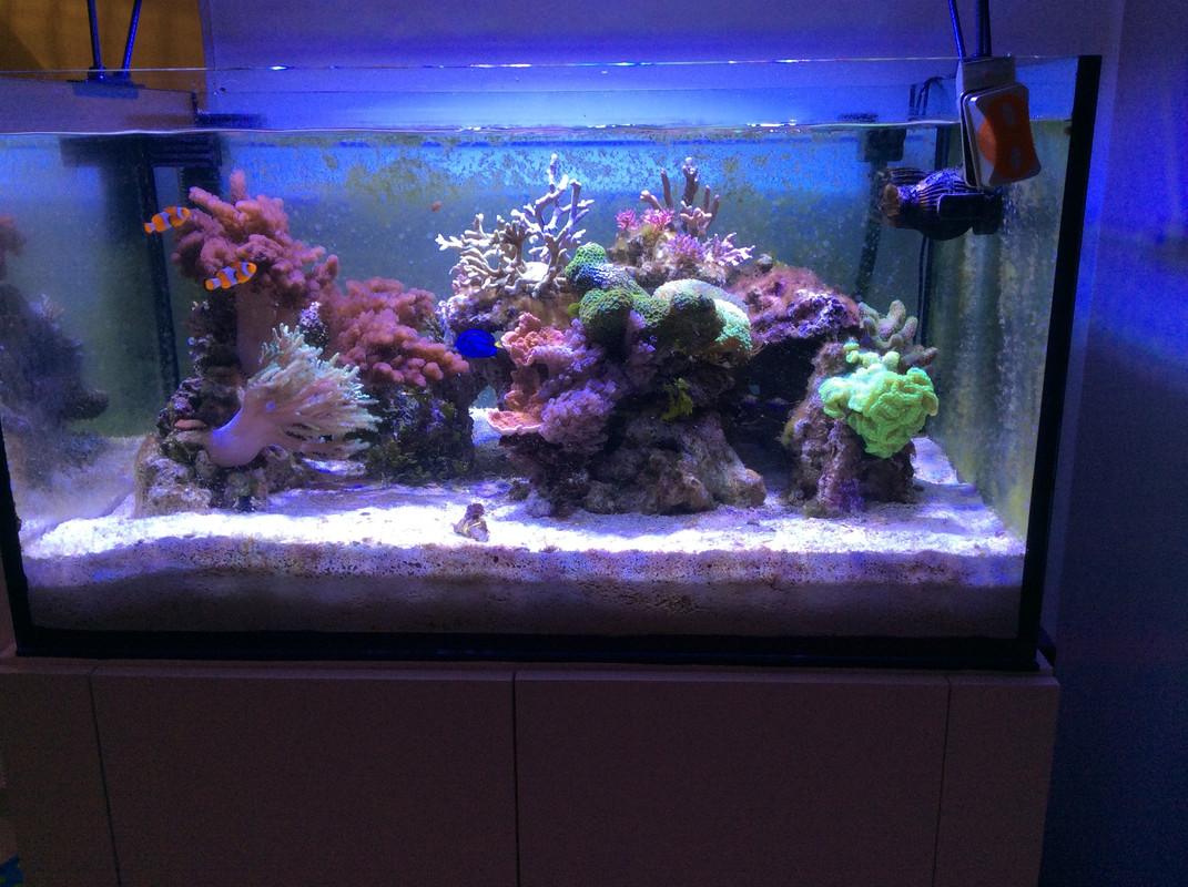 FB66B5C5-A4F4-4368-95CB-3019B1965951