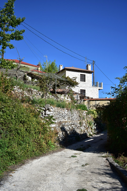 Άνω Δολιανά (12)