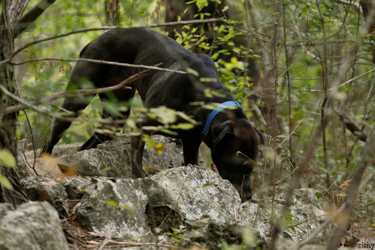 full_004_1046571957237483