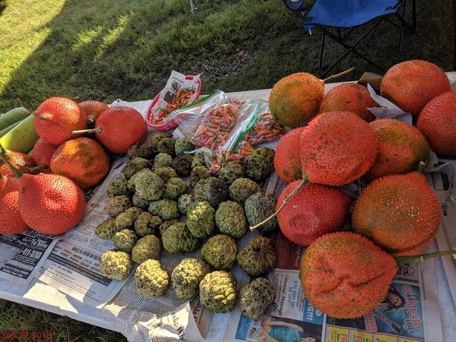 [Image: IMG_20180929_085233.jpg]