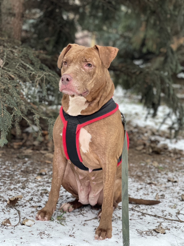 D011AD9A-8D60-4105-9BB6-D1E797A0D637