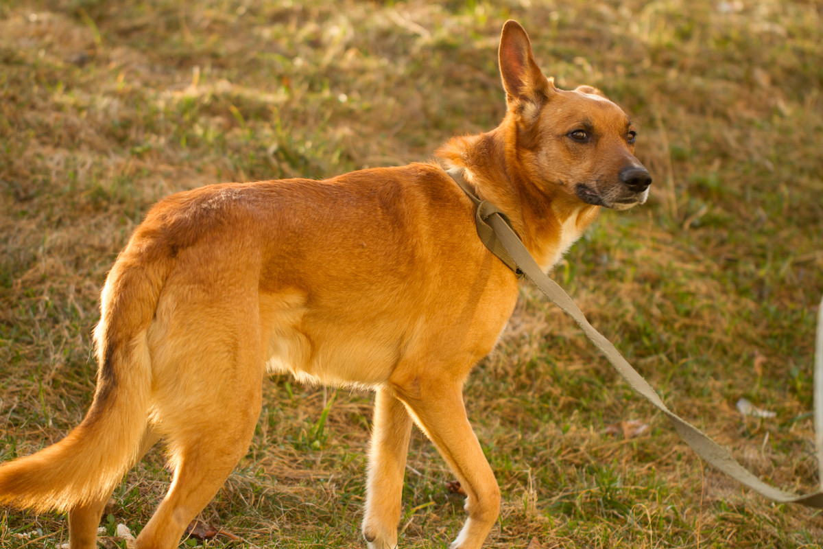 без имени-5344