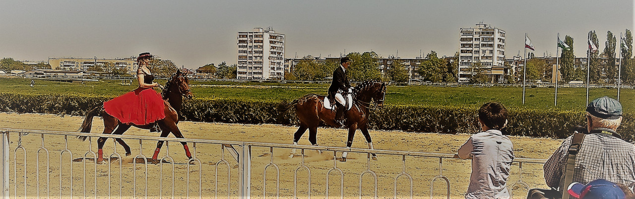 IMG_20180501_125915 (2)