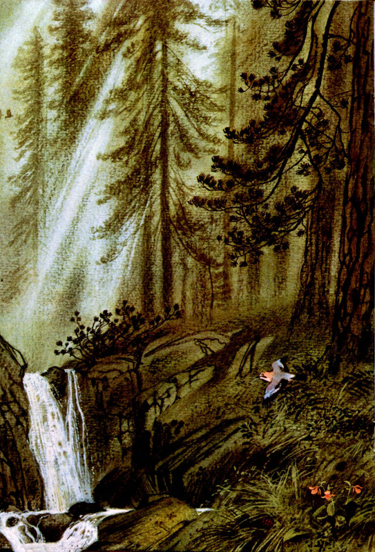 Goryshin-Gleb-Na-altajskoj-trope-222354-15