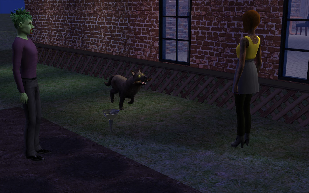 Halloween_asylum_1099