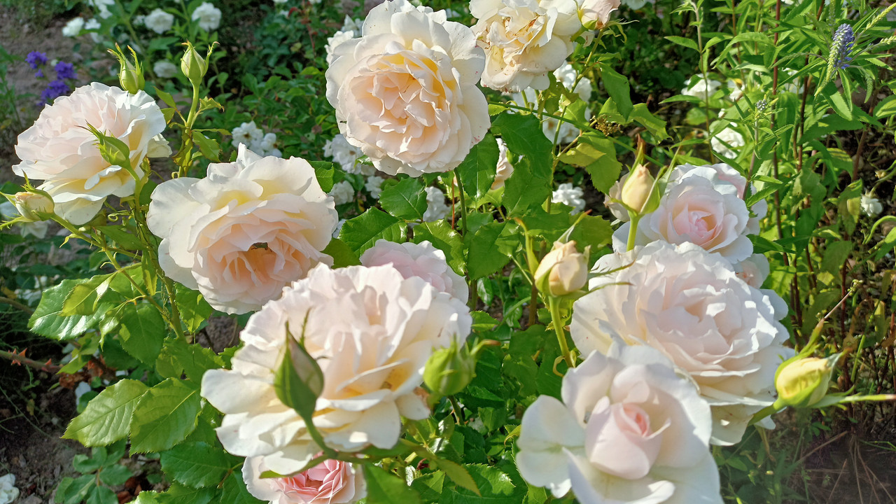 IMG20220630181534