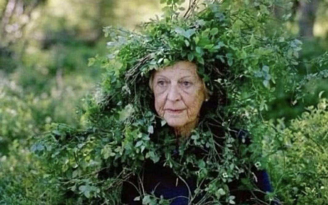 植物人聲像