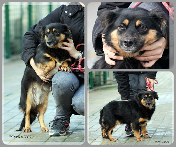 BeFunky-collage (24)