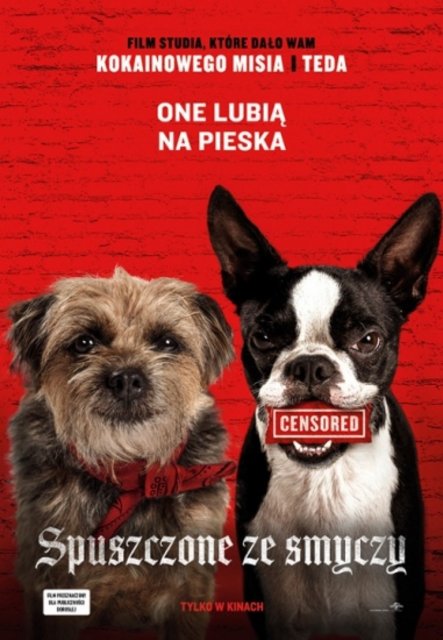 Spuszczone ze smyczy / Strays (2023) PL.480p.BDRip.XviD.DD5.1-K83 / Lektor PL