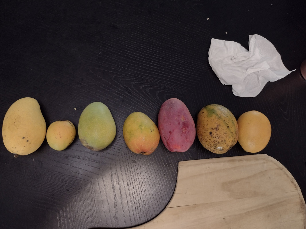 IMG_20210531_113933463_HDR