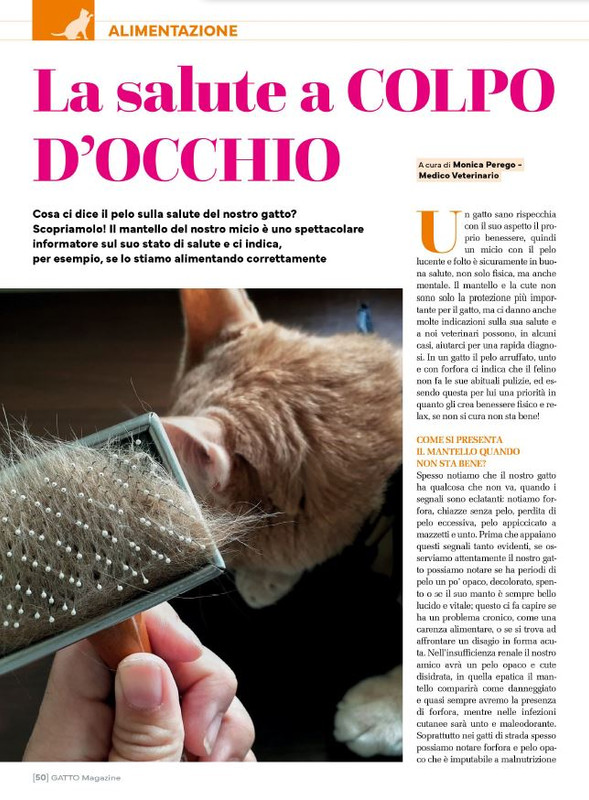 Ga Ma Feb-Mar 2024 (9)