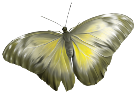 Kit_Just_Bee_In_ME (7)