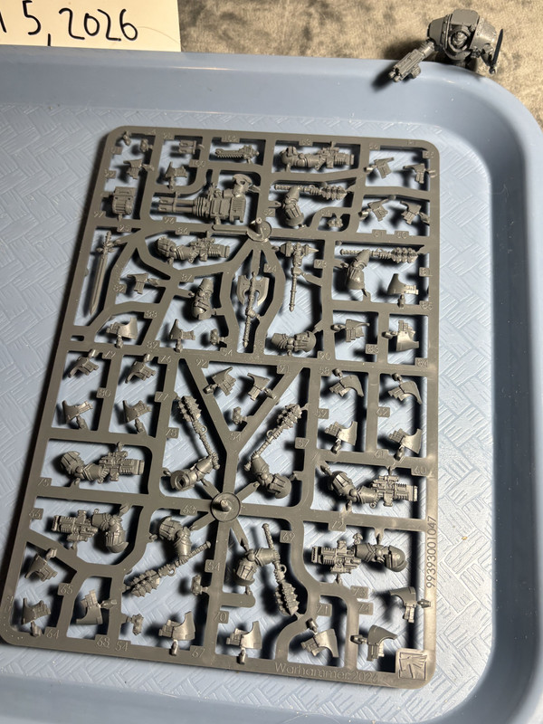 Cataphractii (2026 Both Sets from Siege Box) 08