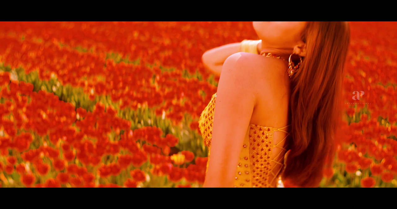 VideoCapture_20241122-200056