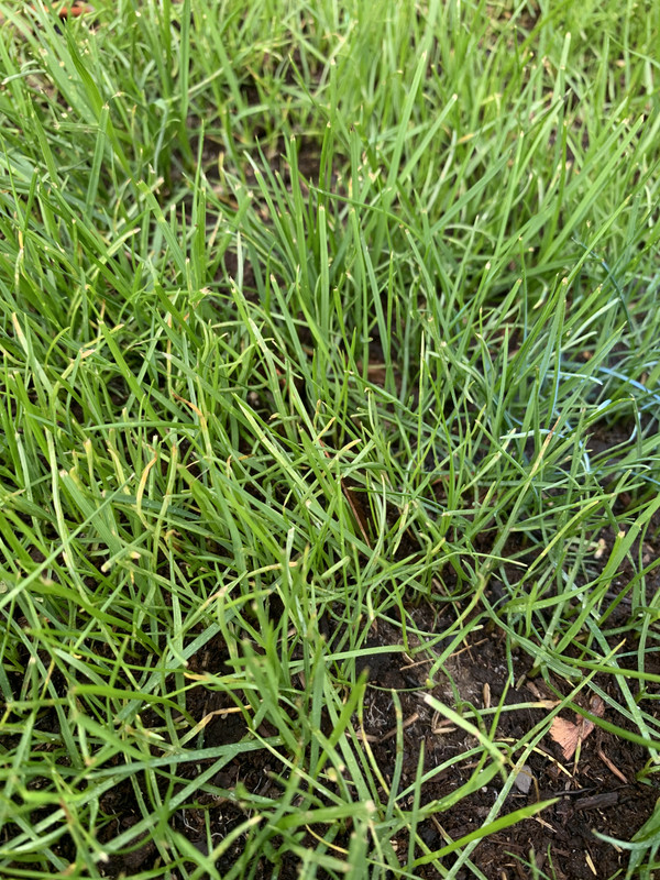 B138616C-C9C2-4CF7-99BD-9897198FFC55