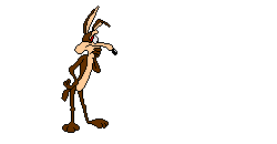 IMG-20240420-081656.gif