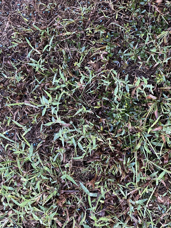 CD33420F-BA88-4CBB-855E-1FD47DB4C3EE