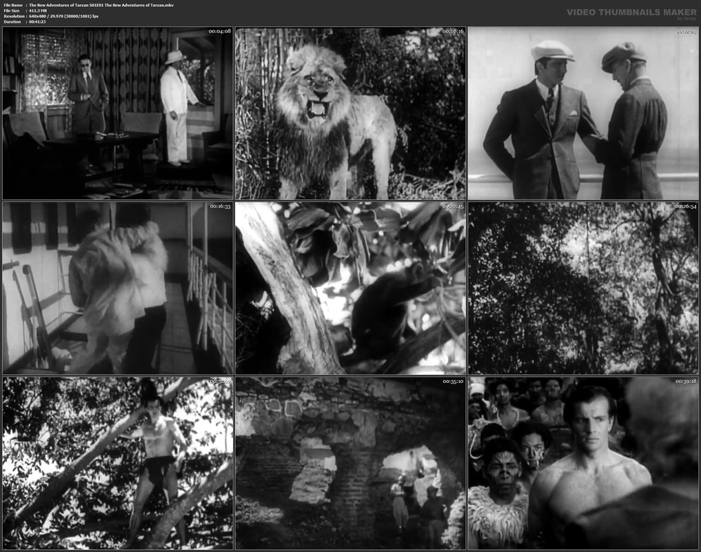 The New Adventures of Tarzan S01E01 The New Adventures of Tarzan.mkv