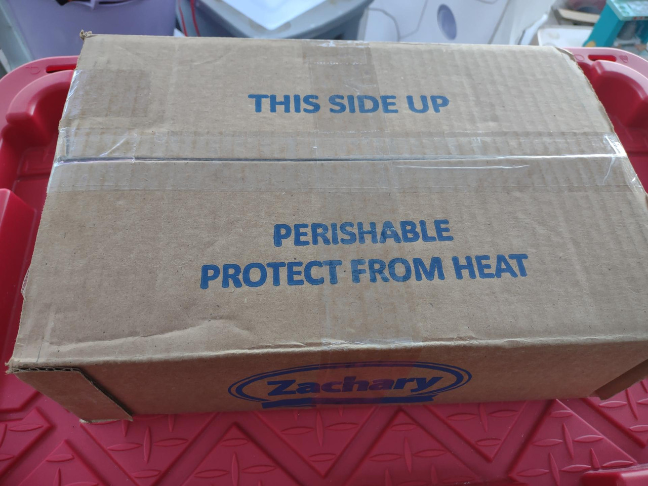 IMG 20251213 155817826