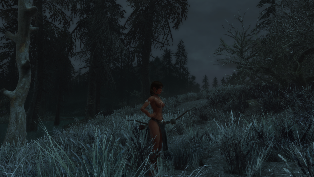 ScreenShot118