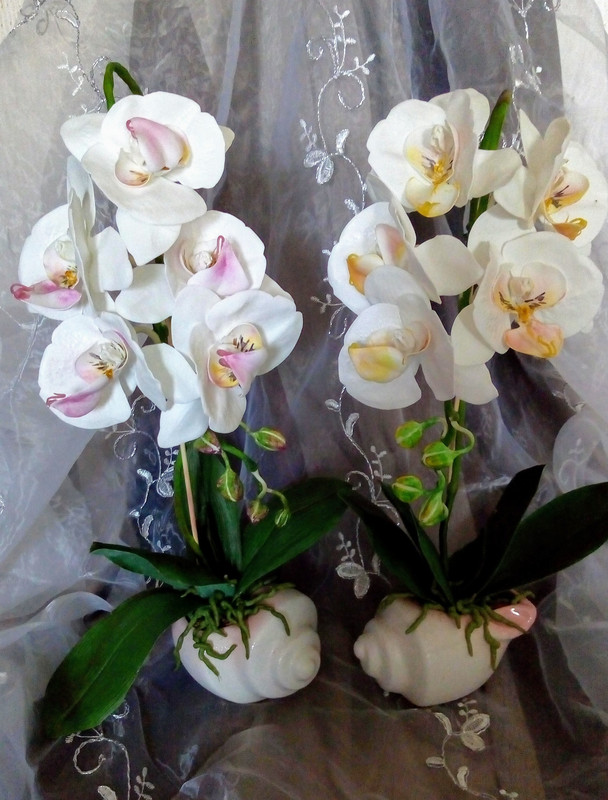 IMG_20180709_161733839~01