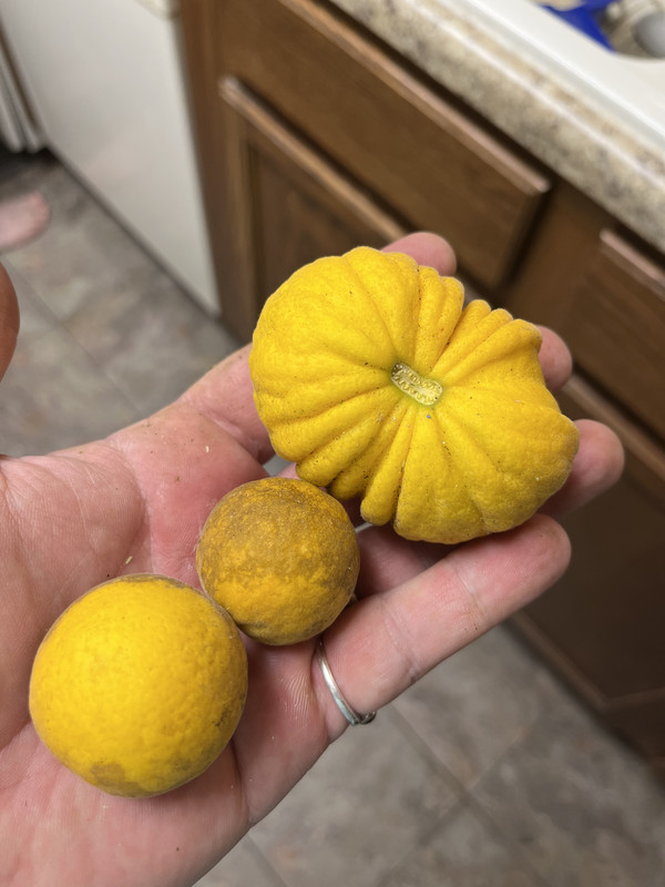 3BFD3C67-2A77-49F3-BC14-D276B6D3E394