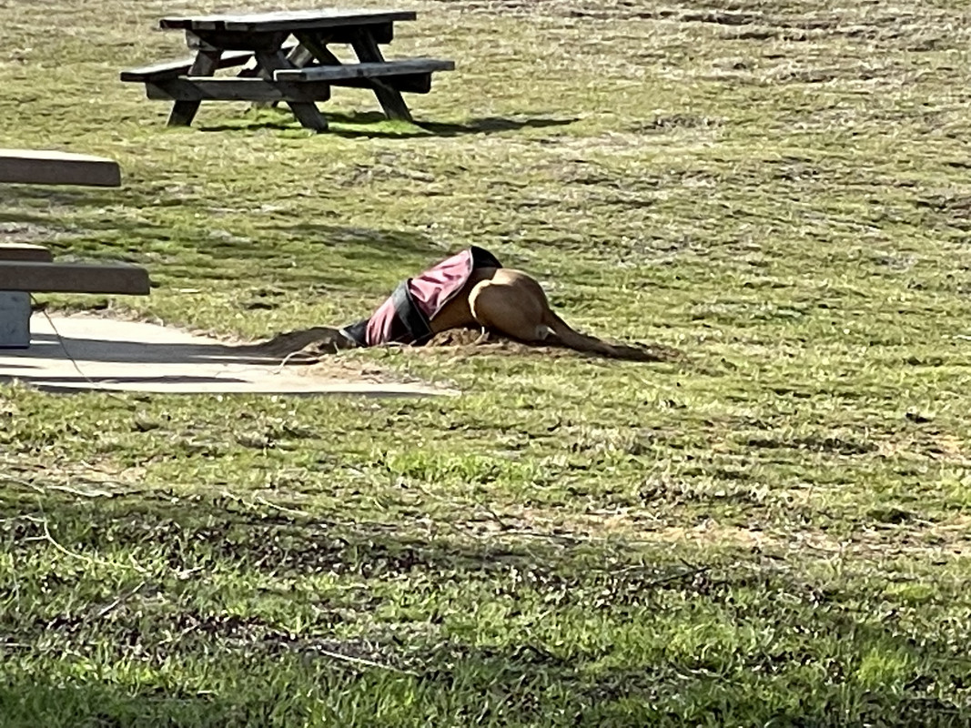 F8E90313-168B-465E-8F51-E17257EAD72E