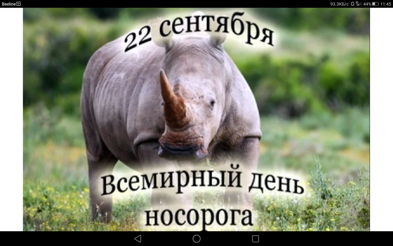 Screenshot_2023-09-22-11-45-06